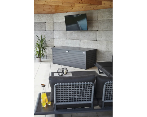 Auflagenbox Biohort FreizeitBox 180 800 l inkl. Gasdruckfedern 181 x 79 x 71 cm dunkelgrau-metallic
