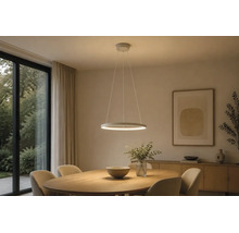 LED Pendelleuchte 35W 4850 lm 3-step CCT 2700-4000-6500 K Ø 54 cm Leporano sandfarben/weiß