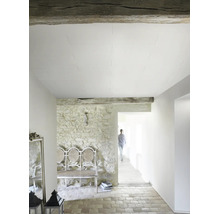 Pièce lumineuse avec des panneaux de plafond blancs, un mur en pierre naturelle rustique, un passage et un sol en carrelage.