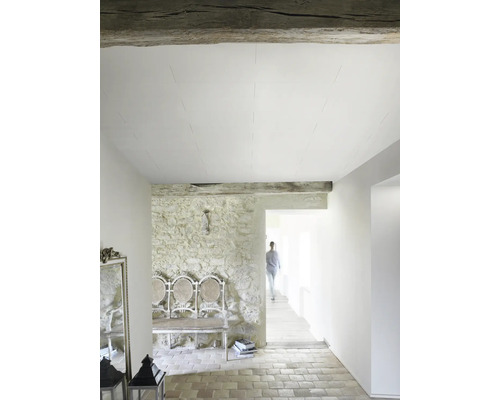 Pièce lumineuse avec des panneaux de plafond blancs, un mur en pierre naturelle rustique, un passage et un sol en carrelage.