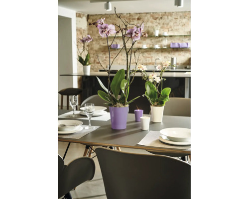 Esszimmertisch dekoriert mit Orchideen in Pflanzentöpfen und Kerzen vor einer offenen Küche mit Ziegelwand.