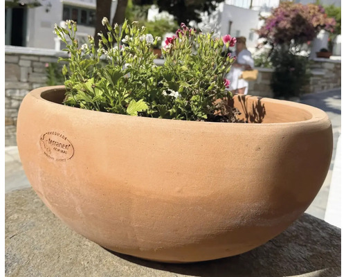 Runde Pflanzschale aus Terrakotta mit handgefertigtem Terraneo Logo, bepflanzt mit Blumen, geeignet für Garten und Terrasse.