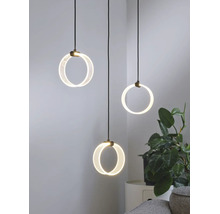 Drei moderne LED Pendelleuchten mit kreisförmigen Lichtelementen und schwarzen Kabeln hängen dekorativ über einer Pflanze im Innenraum.