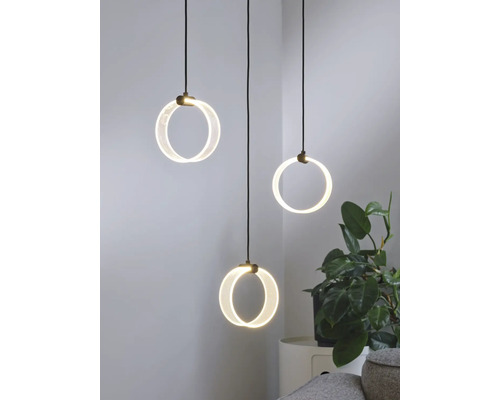 Drei moderne LED Pendelleuchten mit kreisförmigen Lichtelementen und schwarzen Kabeln hängen dekorativ über einer Pflanze im Innenraum.