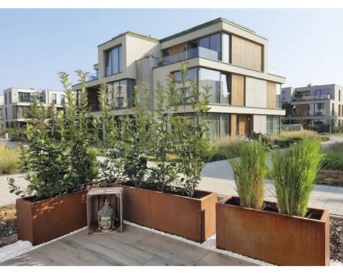 Terrasse de jardin moderne avec bacs à plantes en acier corten et une statue de Bouddha devant un complexe résidentiel avec éléments en bois.