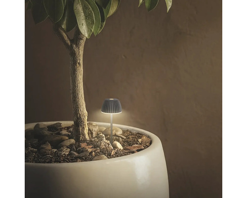 Petite lampe LED décorative en forme de champignon, utilisée comme piquet pour pot de fleurs avec éclairage d'accentuation.