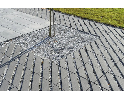 Pavés en béton posés en grille avec joints en gravier et cuvette d arrosage dans un jardin