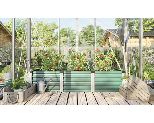 Un potager surélevé en métal profilé dans une serre avec des plants de tomates, des outils de jardinage et des caisses en bois sur une terrasse.