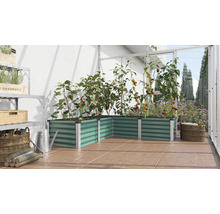 Jardinière surélevée en angle en métal dans une serre plantée de tomates et de poivrons