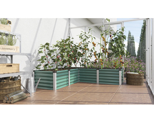 Jardinière surélevée en angle en métal dans une serre plantée de tomates et de poivrons