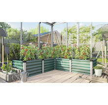 Carré potager surélevé en métal vert dans une serre avec des plants de tomates sur une terrasse en bois.