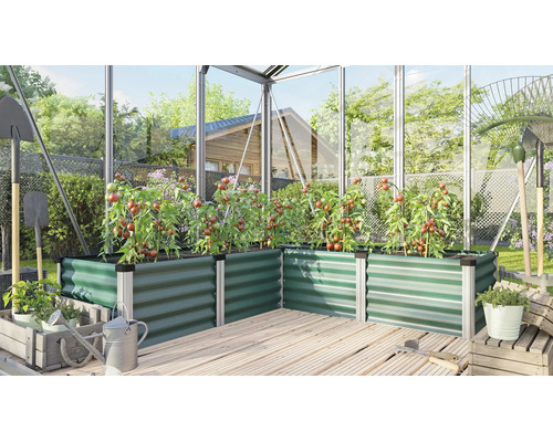 Carré potager surélevé en métal vert dans une serre avec des plants de tomates sur une terrasse en bois.