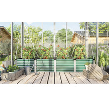Un potager surélevé en métal dans une serre, planté de tomates, entouré d'outils de jardinage et de caisses en bois sur un sol en bois.