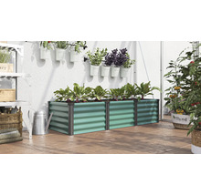 Jardinière rectangulaire en métal dans une serre, plantée de betteraves, entourée de plantes en pots suspendus et sur pied.