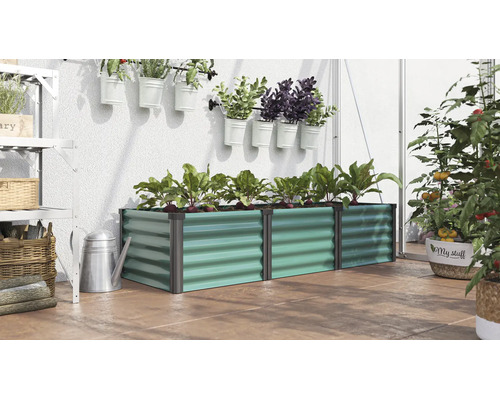 Jardinière rectangulaire en métal dans une serre, plantée de betteraves, entourée de plantes en pots suspendus et sur pied.
