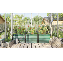 Jardinière surélevée rectangulaire en métal dans une serre avec des plants de tomates, des outils de jardinage et des caisses en bois.
