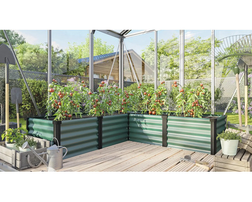 Jardinière surélevée en angle en métal dans une serre avec des plants de tomates sur une terrasse en bois.