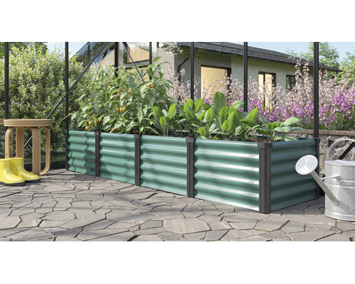 Jardinière surélevée rectangulaire en métal avec structure ondulée dans une serre avec des plantes et des outils de jardinage