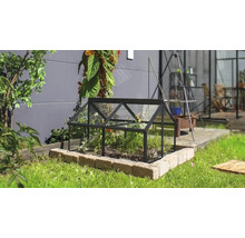 Un petit châssis de jardin en verre avec un cadre en métal noir sur une pelouse dans un jardin.