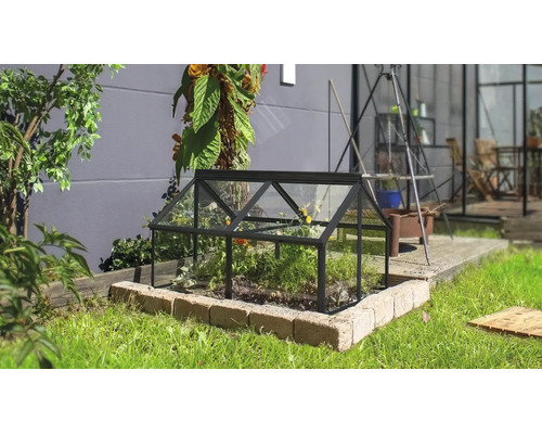 Un petit châssis de jardin en verre avec un cadre en métal noir sur une pelouse dans un jardin.