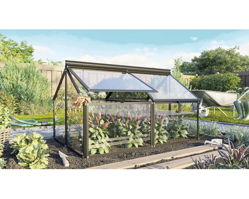 Une petite serre avec cadre en métal et parois en verre installée dans un jardin, avec un toit ouvrant pour la culture des plantes.