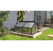 Un petit châssis de culture en métal avec des panneaux translucides, placé sur un socle en pierre dans un jardin.