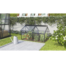 Une petite serre de jardin en plastique avec un cadre en aluminium se trouve dans le jardin à côté d'un arrosoir, avec des plants de tomates.