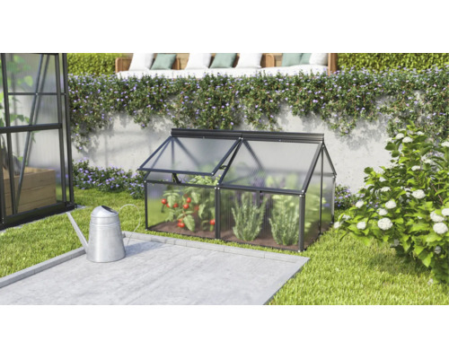 Une petite serre de jardin en plastique avec un cadre en aluminium se trouve dans le jardin à côté d'un arrosoir, avec des plants de tomates.
