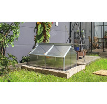 Une serre châssis avec cadre en aluminium et parois en polycarbonate dans un jardin, installée sur un rebord en briques.