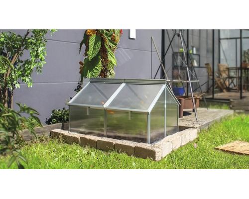 Une serre châssis avec cadre en aluminium et parois en polycarbonate dans un jardin, installée sur un rebord en briques.