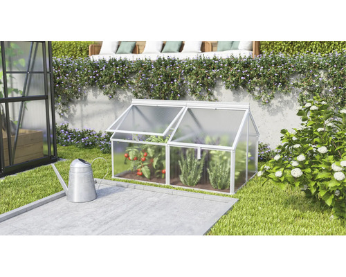 Une petite serre de jardin en aluminium et plaques alvéolaires avec deux fenêtres de toit ouvrantes pour la culture des plantes.