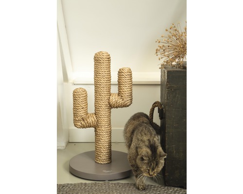 Katze neben einem Kratzbaum in Kaktusform