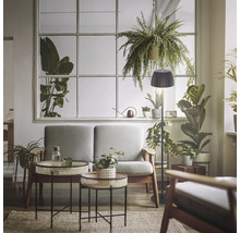 Lampadaire moderne avec abat-jour plissé dans un salon lumineux et accueillant, agrémenté de plantes d'intérieur et de meubles rembourrés.