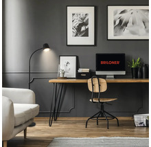 Bureau moderne avec logo Briloner sur l ecran, bureau en bois, chaise pivotante et lampadaire devant un mur avec panneaux muraux.