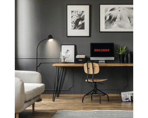 Bureau moderne avec logo Briloner sur l ecran, bureau en bois, chaise pivotante et lampadaire devant un mur avec panneaux muraux.