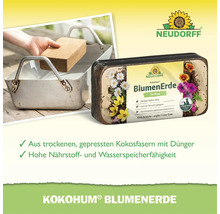 Terreau Neudorff Kokohum sous forme de bloc pressé en fibres de coco, sans tourbe et léger, donne sept litres de terreau.