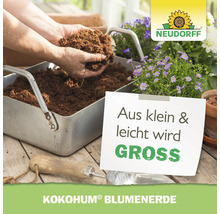 Terreau Neudorff Kokohum dans une jardinière avec des fleurs et logo Neudorff