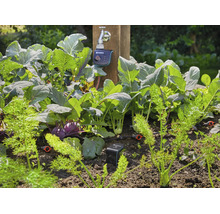 Automatisches Bewässerungssystem von Gardena in einem Gemüsegarten mit angeschlossenem Bewässerungscomputer und Bodenfeuchtesensor.