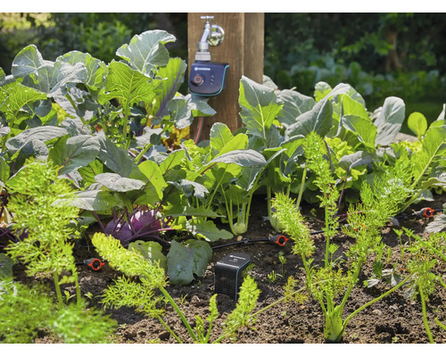 Automatisches Bewässerungssystem von Gardena in einem Gemüsegarten mit angeschlossenem Bewässerungscomputer und Bodenfeuchtesensor.