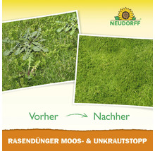 Logo Neudorff avec images comparatives avant et après l'utilisation d'engrais pour gazon avec anti mousse et anti mauvaises herbes.