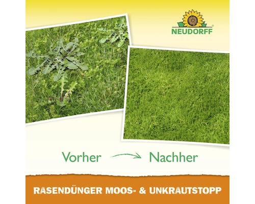 Logo Neudorff avec images comparatives avant et après l'utilisation d'engrais pour gazon avec anti mousse et anti mauvaises herbes.