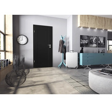 Moderne Innentür mit schwarzem Türblatt und schlichter Drückergarnitur in einem elegant eingerichteten Flur mit Dekorationselementen.