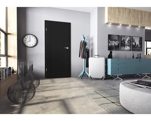 Moderne schwarze Zimmertür mit Metallbeschlag in einem stilvoll eingerichteten Wohnraum mit Flurmöbeln und Dekorationsgegenständen.
