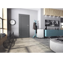 Moderne graue Innentür in einem stilvoll eingerichteten Flur mit Kommode, Kleiderständer und Wandbildern.