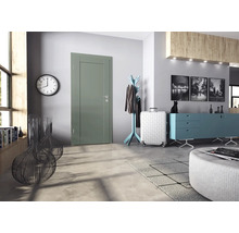 Moderne Innentür in einem Flur mit Kleiderständer, Kommode, Teppich und Wandbildern in einer hellen Wohnumgebung.