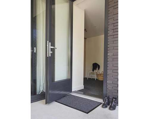 Espace d''entrée avec paillasson, porte et chaussures