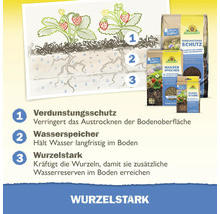 Infografik zur Wirkungsweise von Neudorff Gartenprodukten gegen Austrocknung und zur Stärkung von Pflanzenwurzeln.