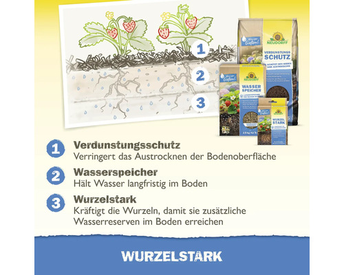Infografik zur Wirkungsweise von Neudorff Gartenprodukten gegen Austrocknung und zur Stärkung von Pflanzenwurzeln.