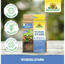 Neudorff Wurzel Stark Pflanzenstärkungsmittel in Kartonverpackung zur Verbesserung der Wasseraufnahme und Hitzeresistenz von Pflanzen.