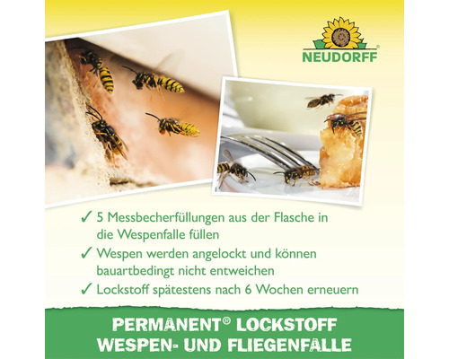 Neudorff Permanent piège à guêpes et mouches attractif pour lutte contre les guêpes avec conseils d utilisation